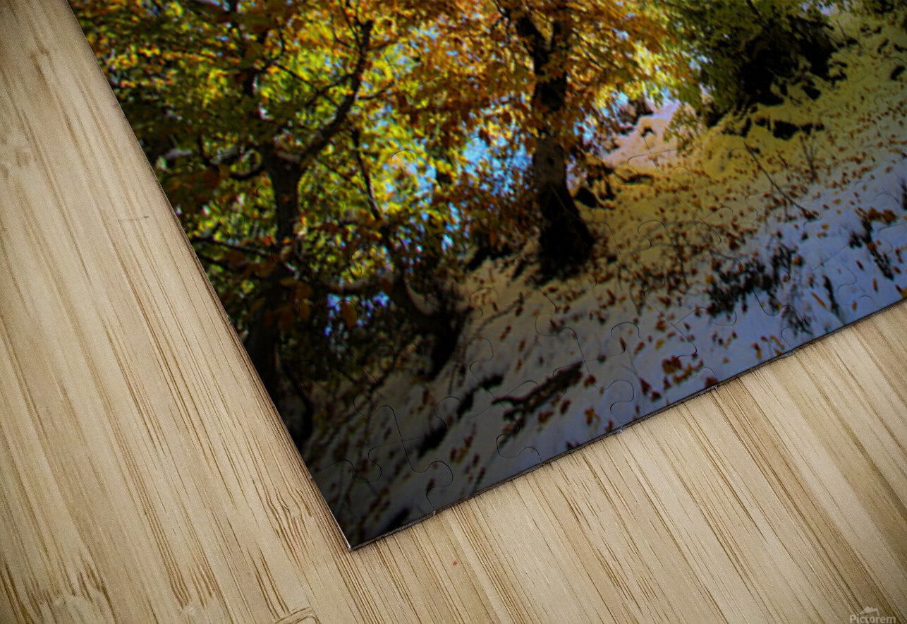 Embrace of Light NARIO Puzzle