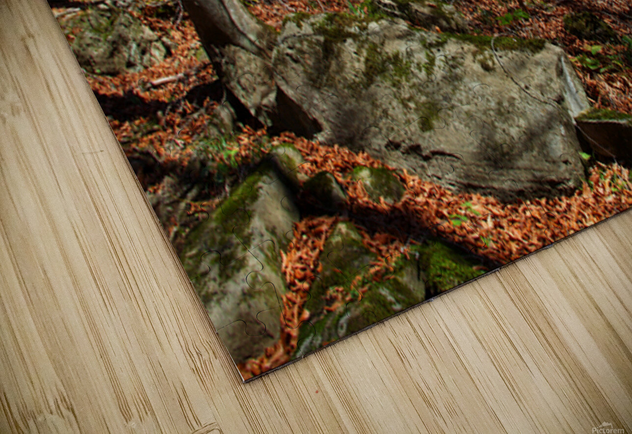 Echoes of Leaves NARIO Puzzle