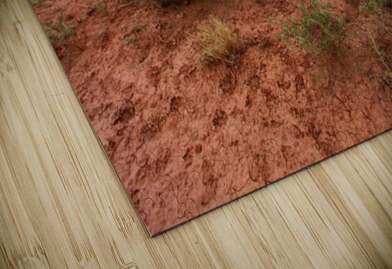 Roots of Fire NARIO Puzzle