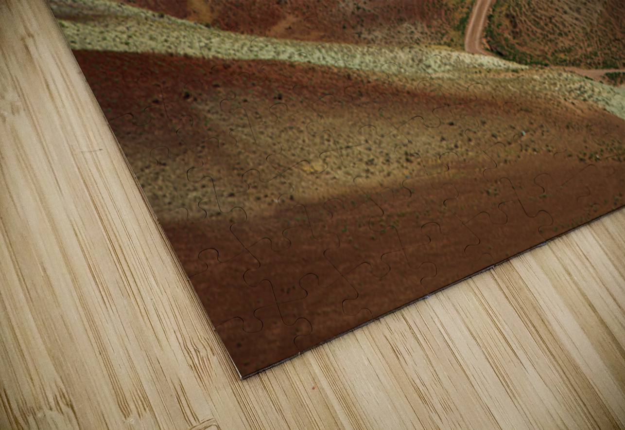 Trail of Silence NARIO Puzzle