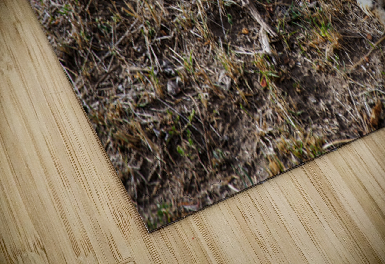 Silent Hunter NARIO Puzzle