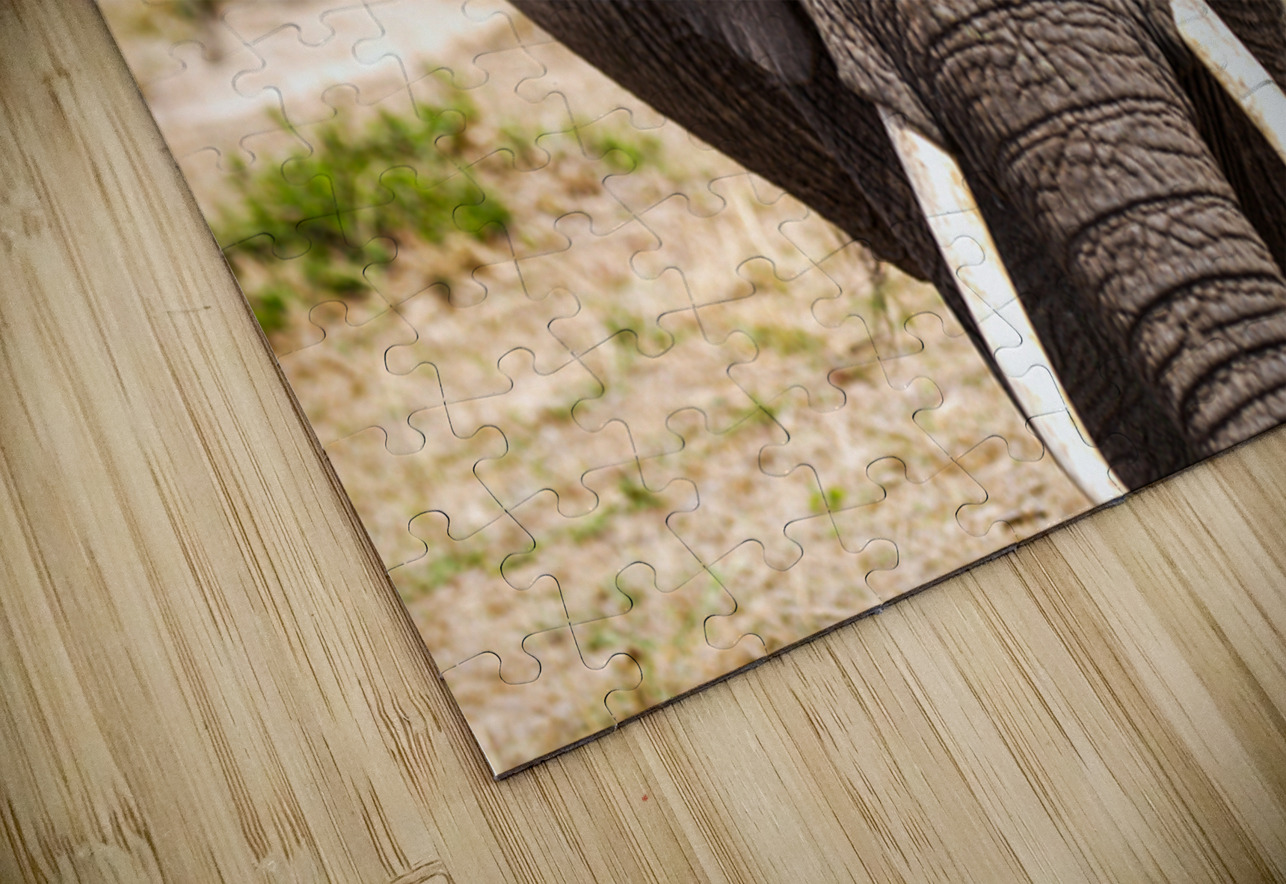 Timeless Strength NARIO Puzzle