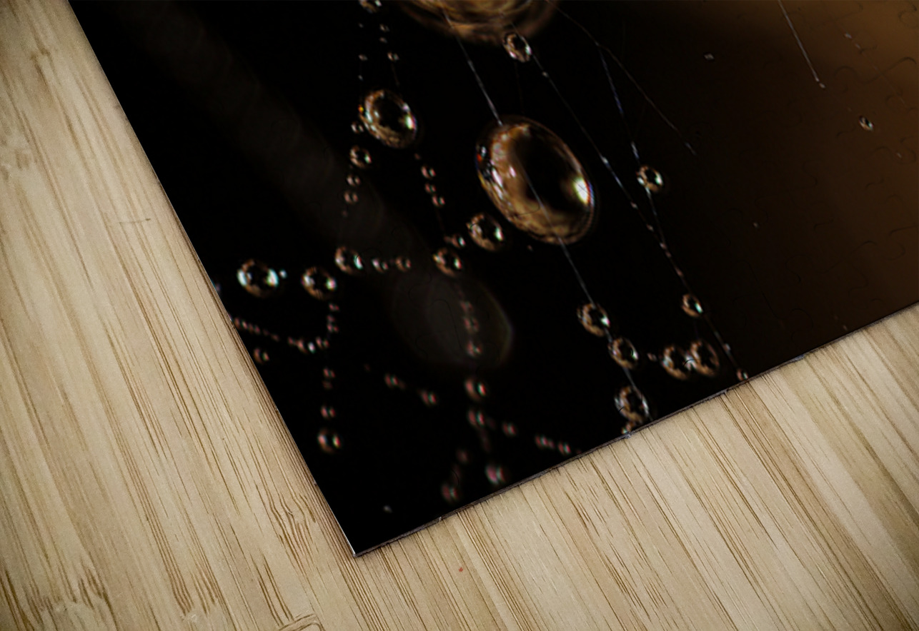 Web of Stars NARIO Puzzle