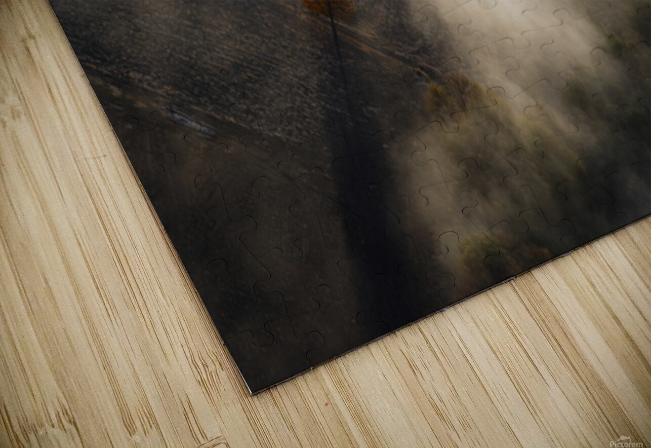 The Lonely Tree NARIO Puzzle