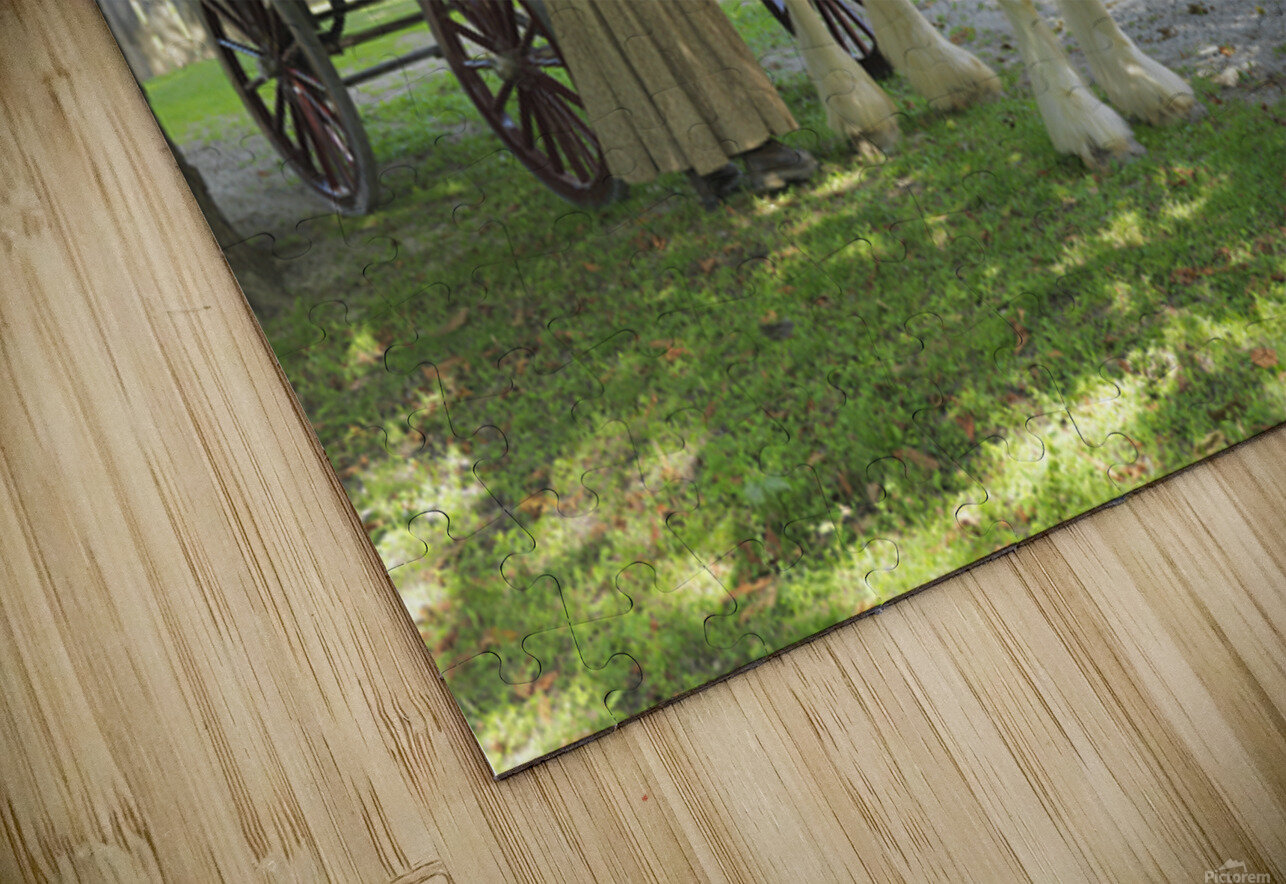 Timeless Companions NARIO Puzzle