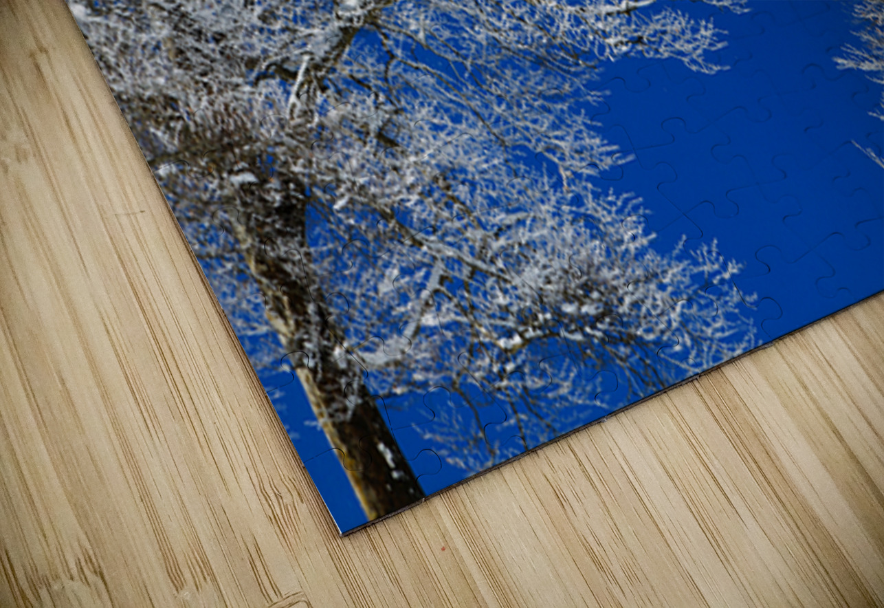 Winter’s Embrace NARIO Puzzle