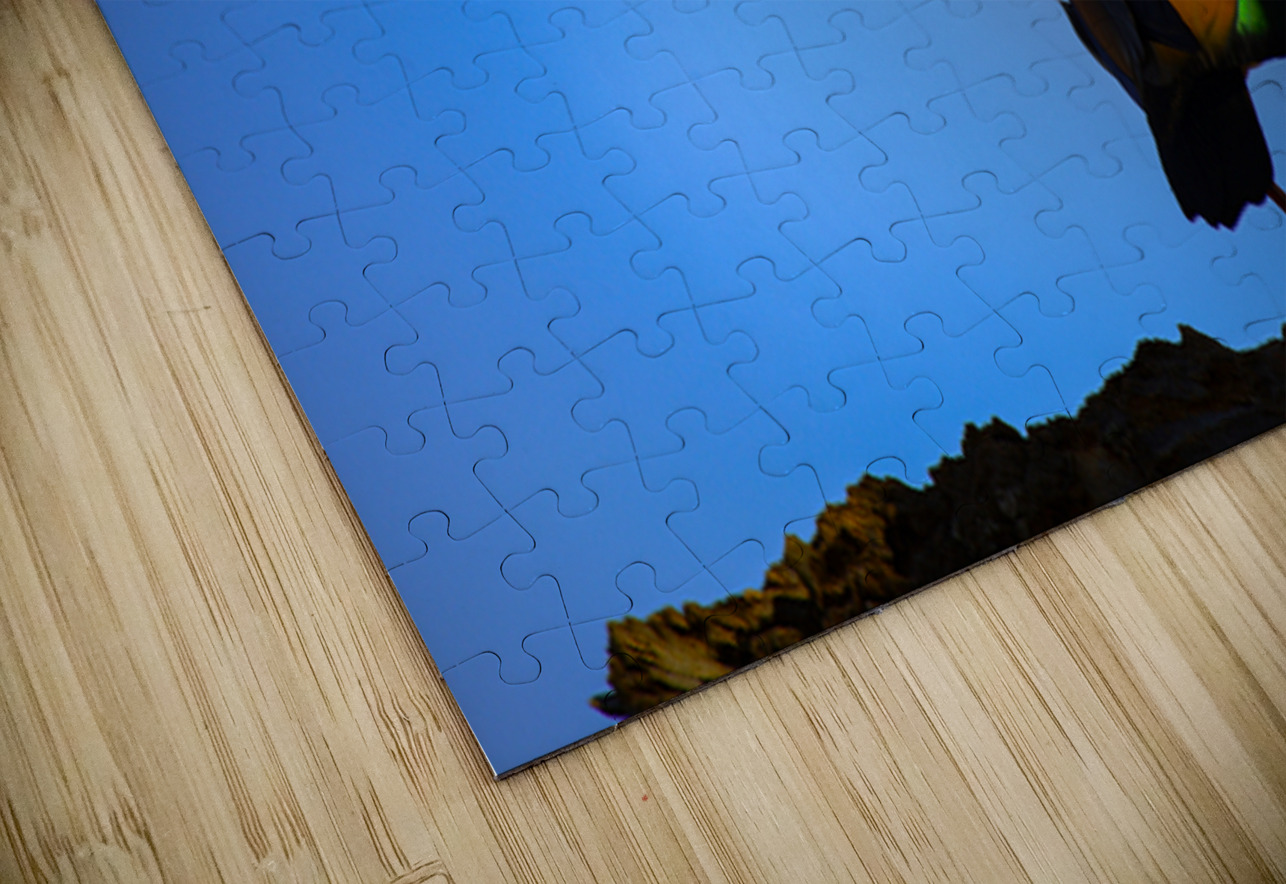 Wings of Light NARIO Puzzle