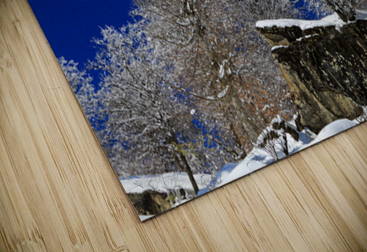 Winter Fortress NARIO Puzzle