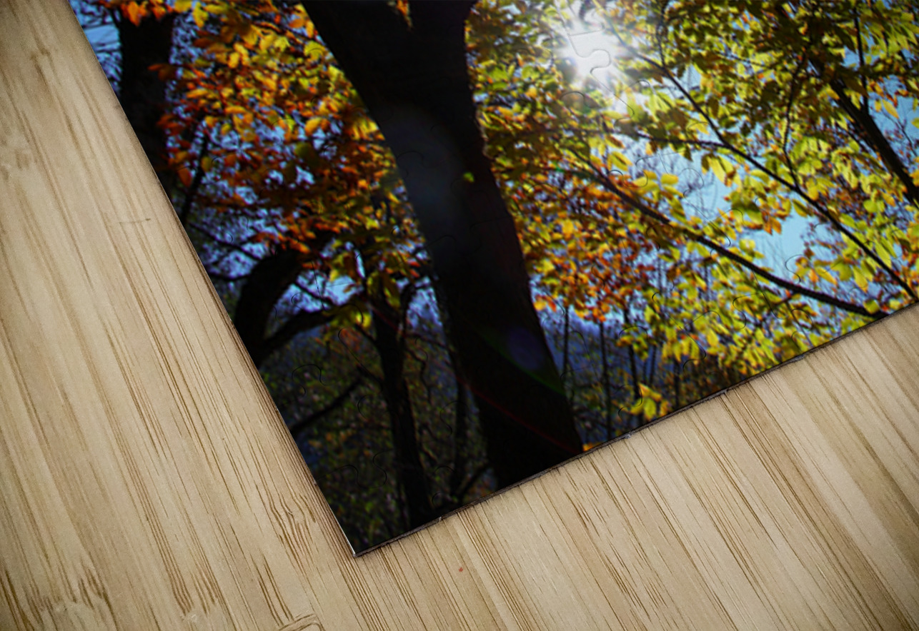 Through the Leaves NARIO Puzzle