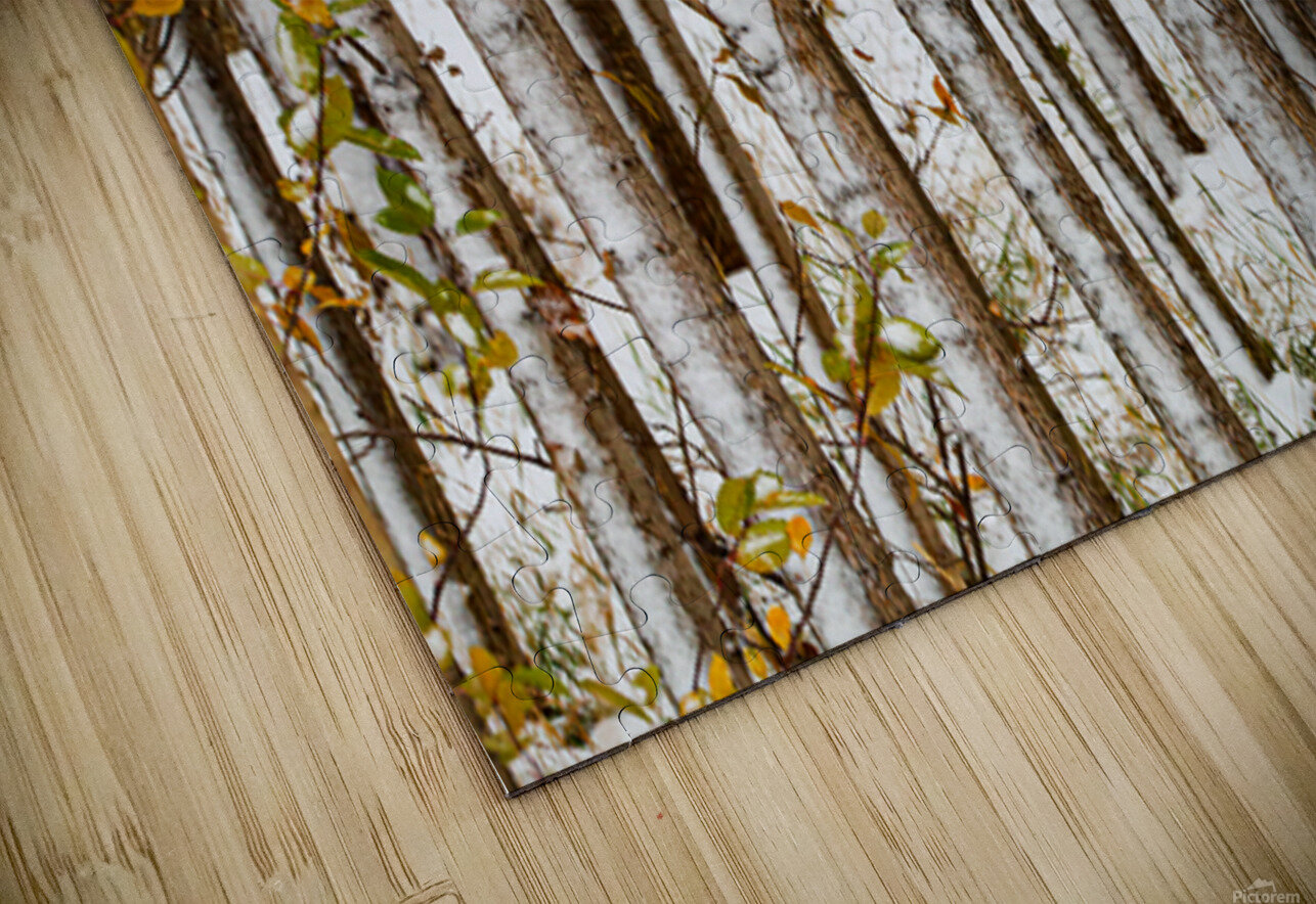 Song of Verticals NARIO Puzzle