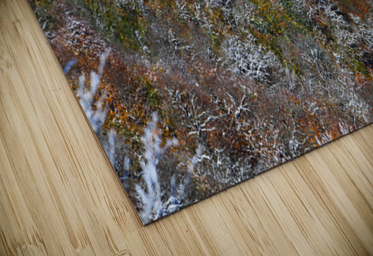 Poetry of Seasons NARIO Puzzle