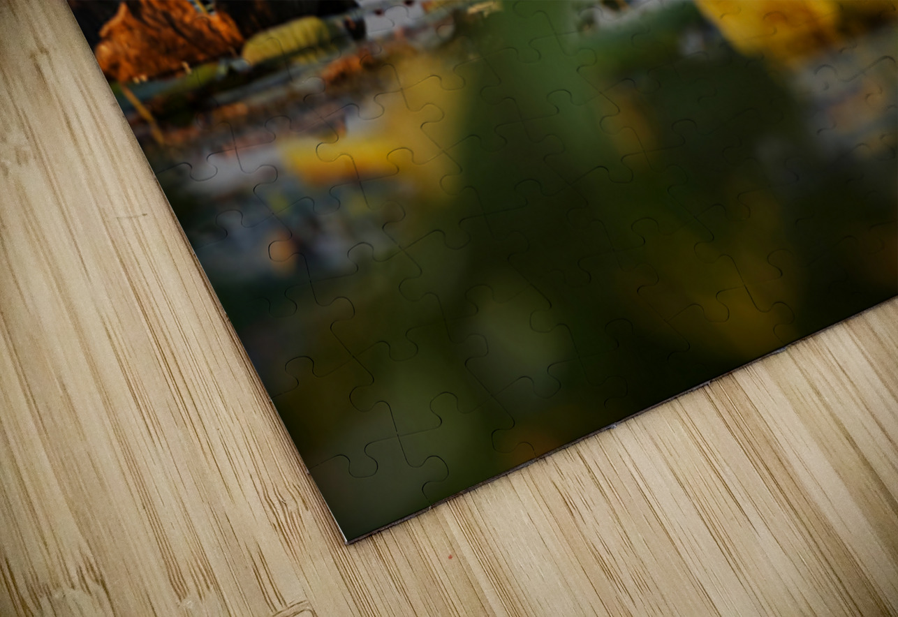 White Egret NARIO Puzzle