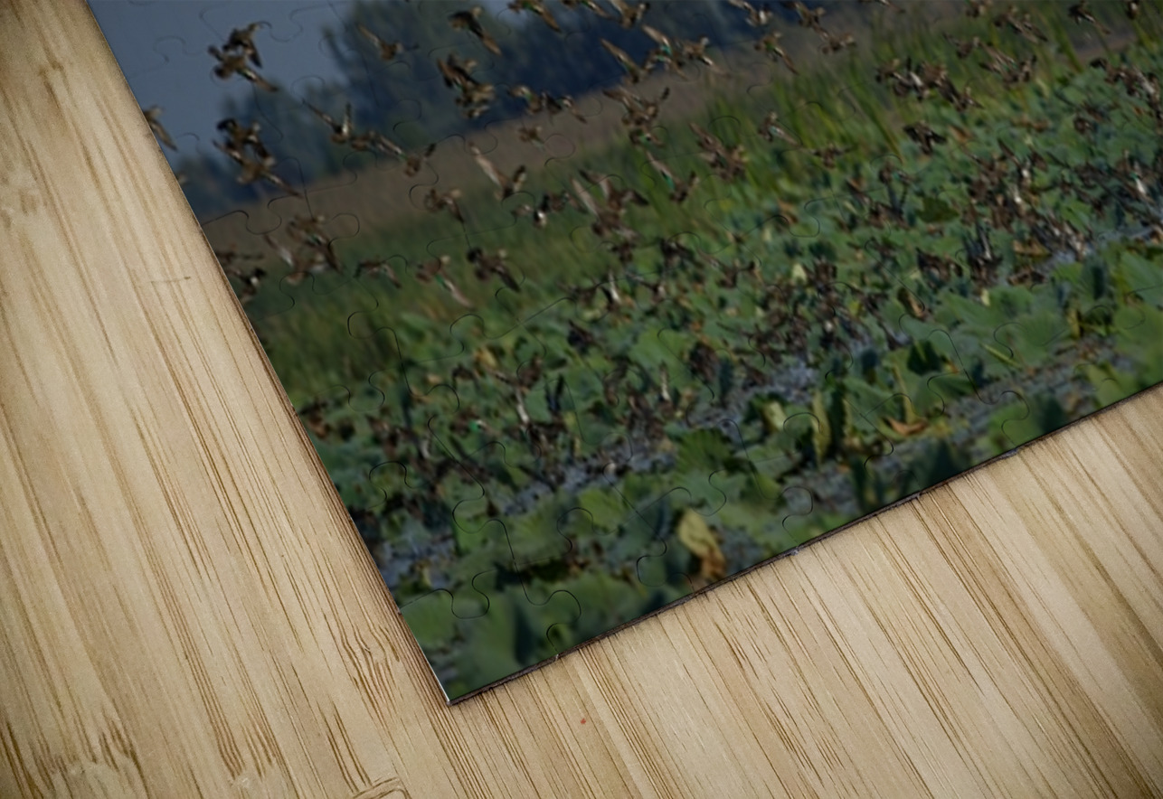 Wings Over the Wetland NARIO Puzzle