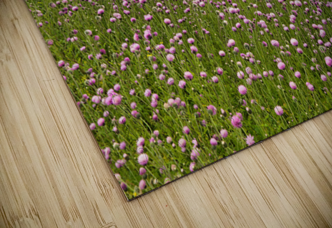 Valley of Blossoms NARIO Puzzle