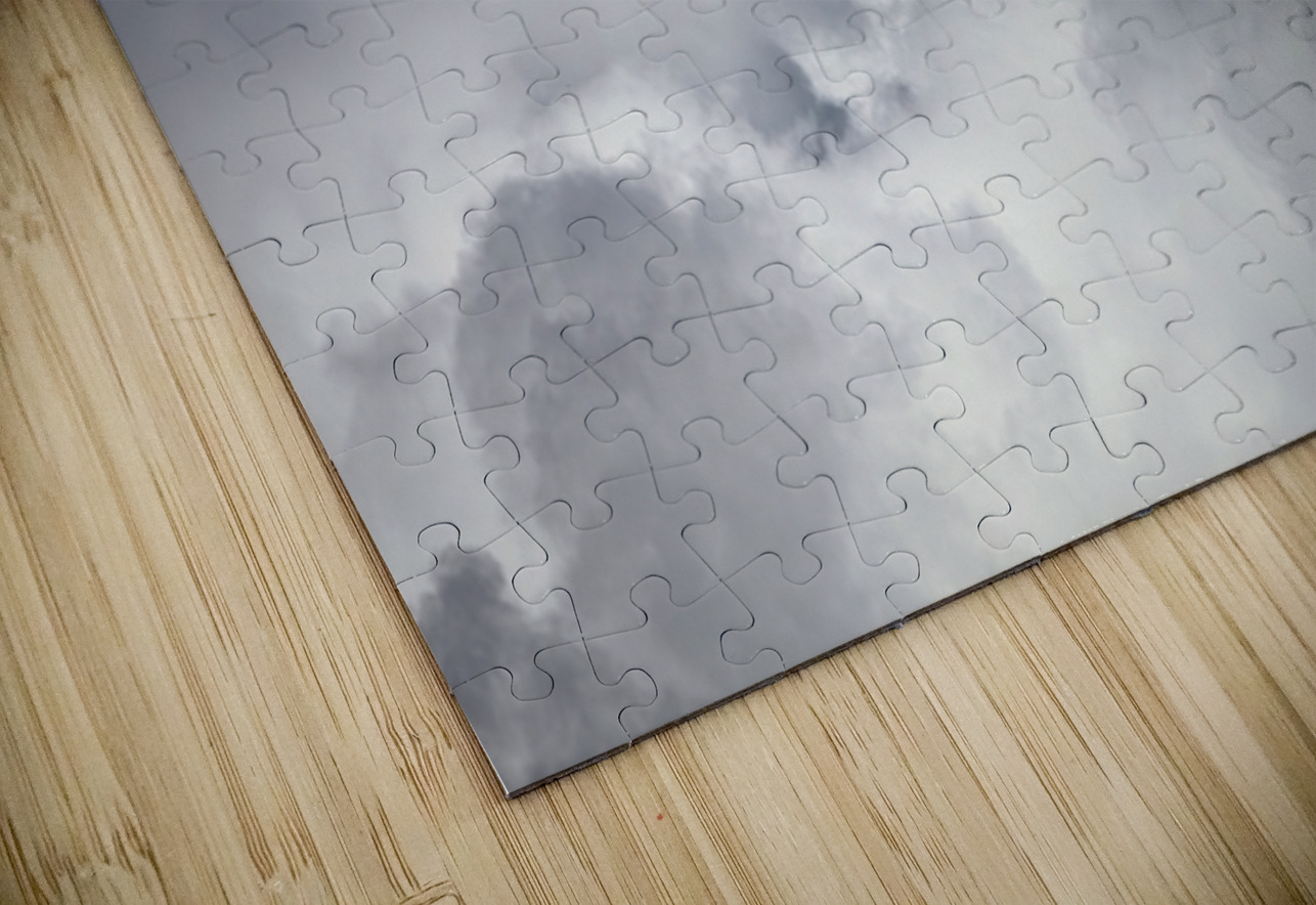 FA-18 1180 NARIO Puzzle