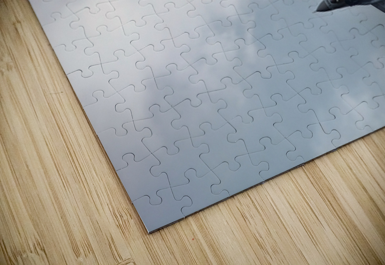 FA-18 1181 NARIO Puzzle