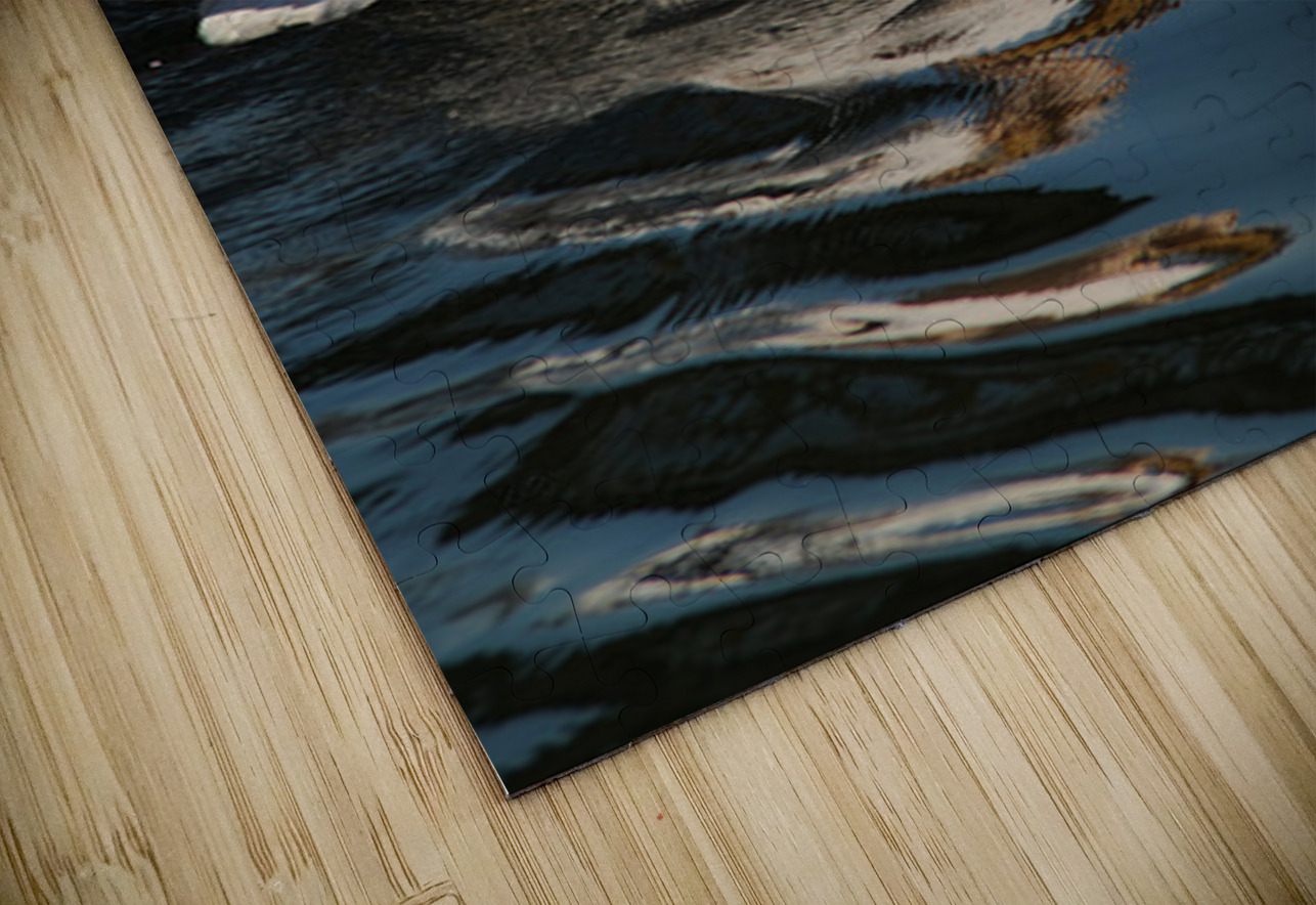 pelikan04 moreDetail x4 9544x14340 2pass photo.pn NARIO Puzzle