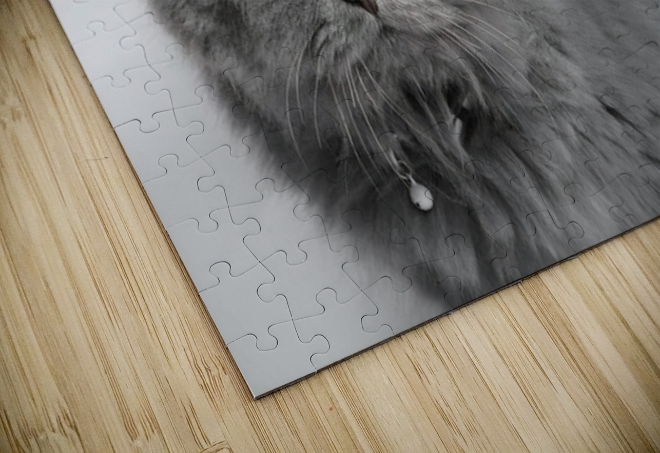 Cat NARIO Puzzle