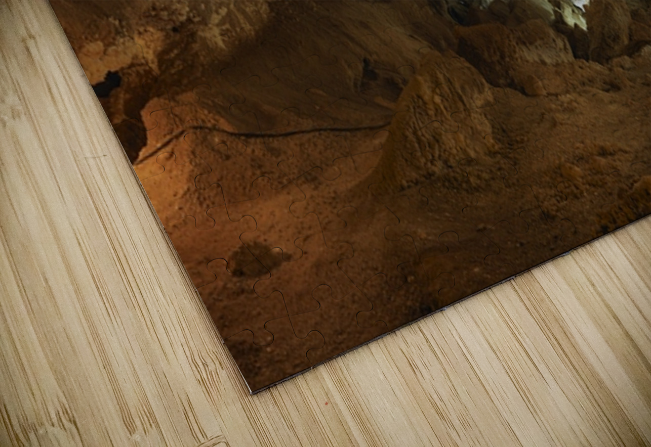 Golden Depths – Underground World NARIO Puzzle