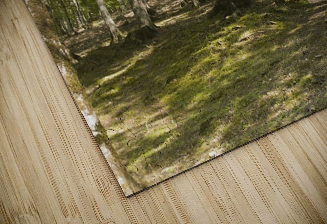 Breath of Hyrcanian Forest NARIO Puzzle