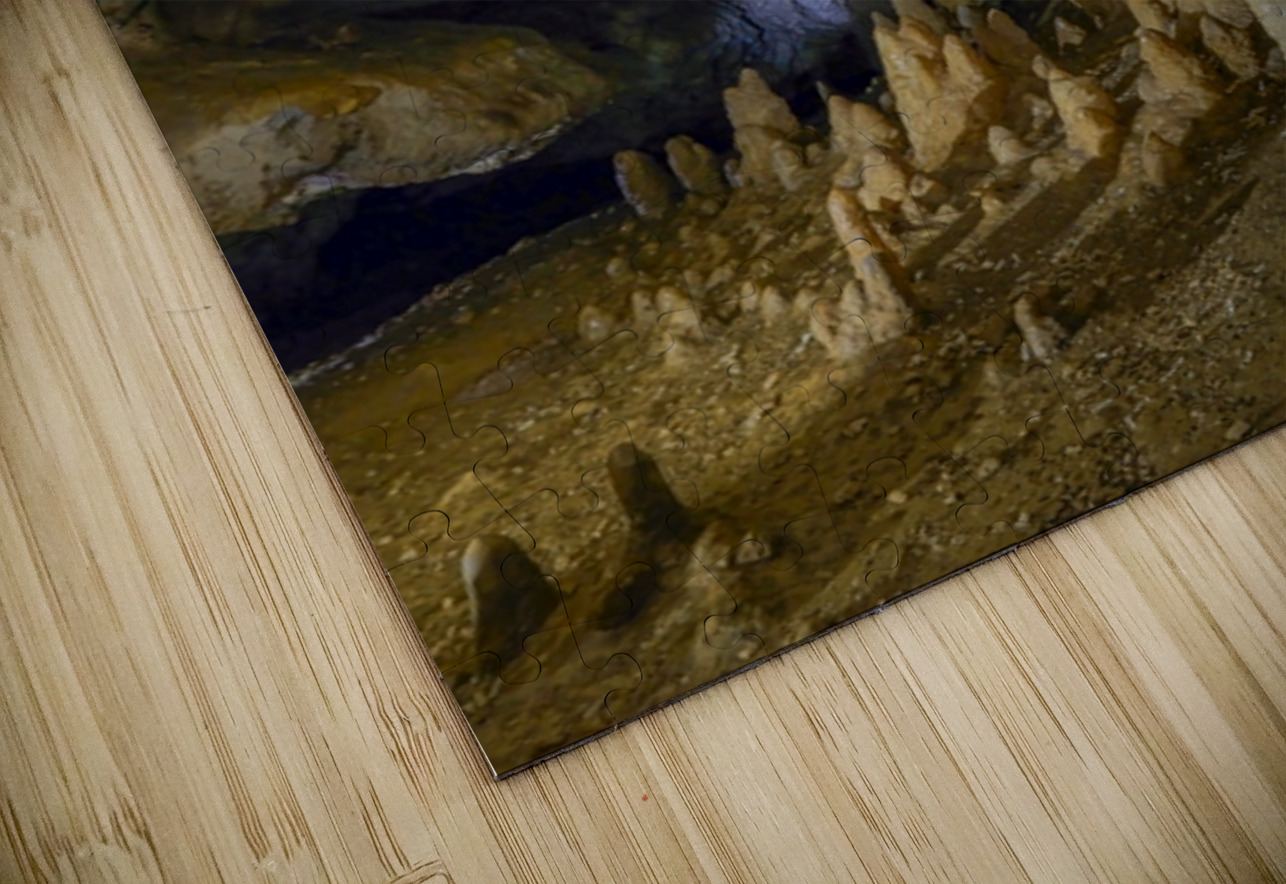 Whispers of the Earth NARIO Puzzle