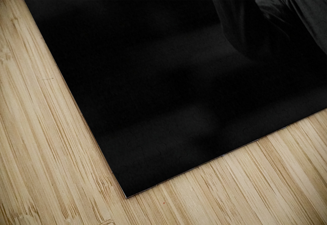 Rhythm of the Mind NARIO Puzzle