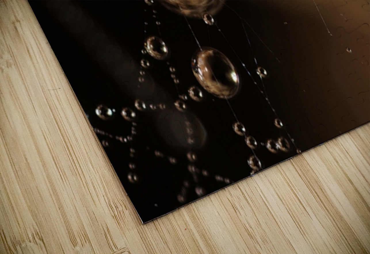 Gravity’s Whisper NARIO Puzzle