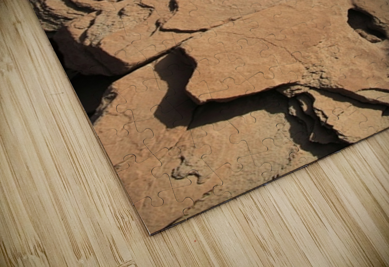 Roots of the Sky NARIO Puzzle