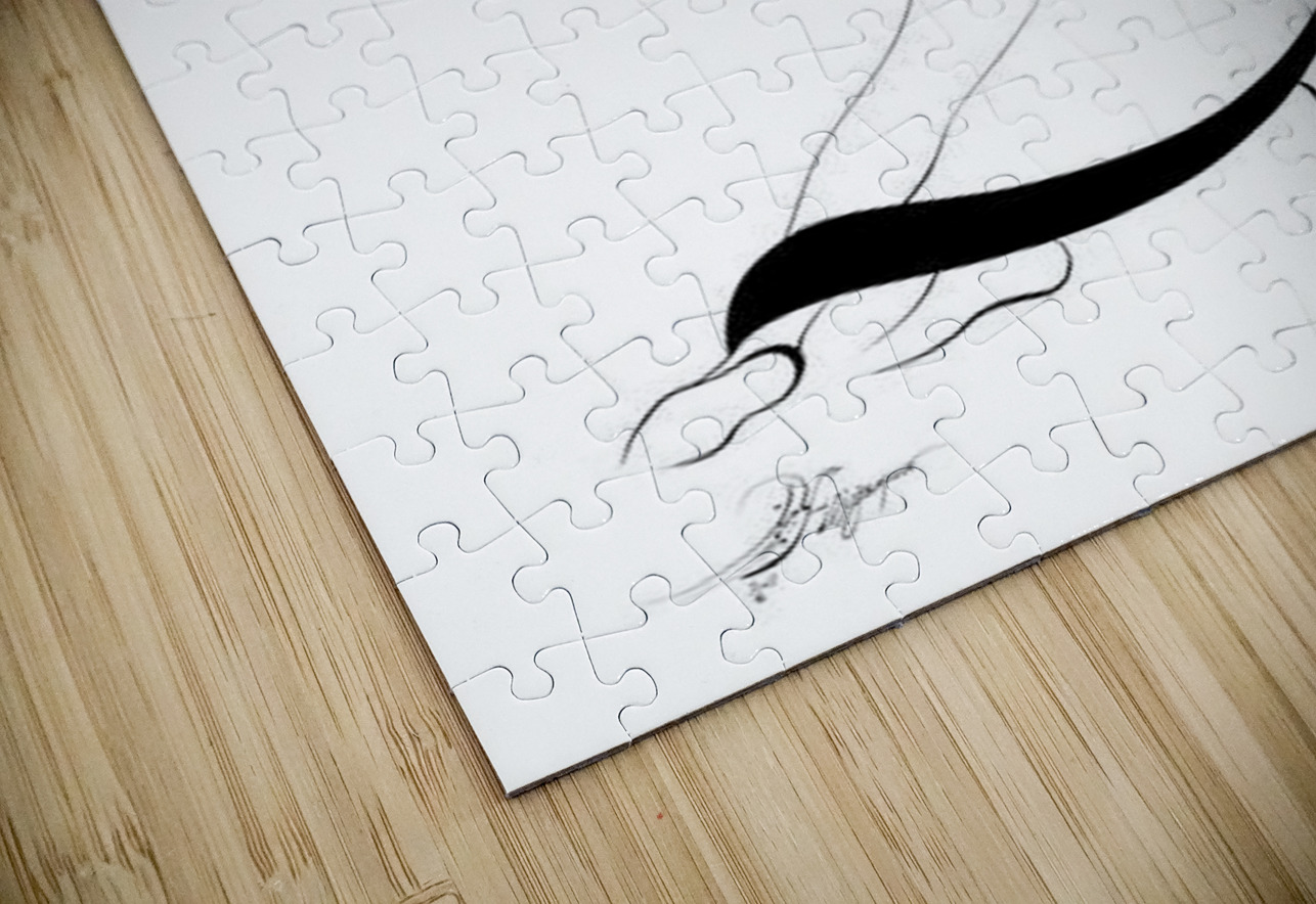 Dance of Love NARIO Puzzle