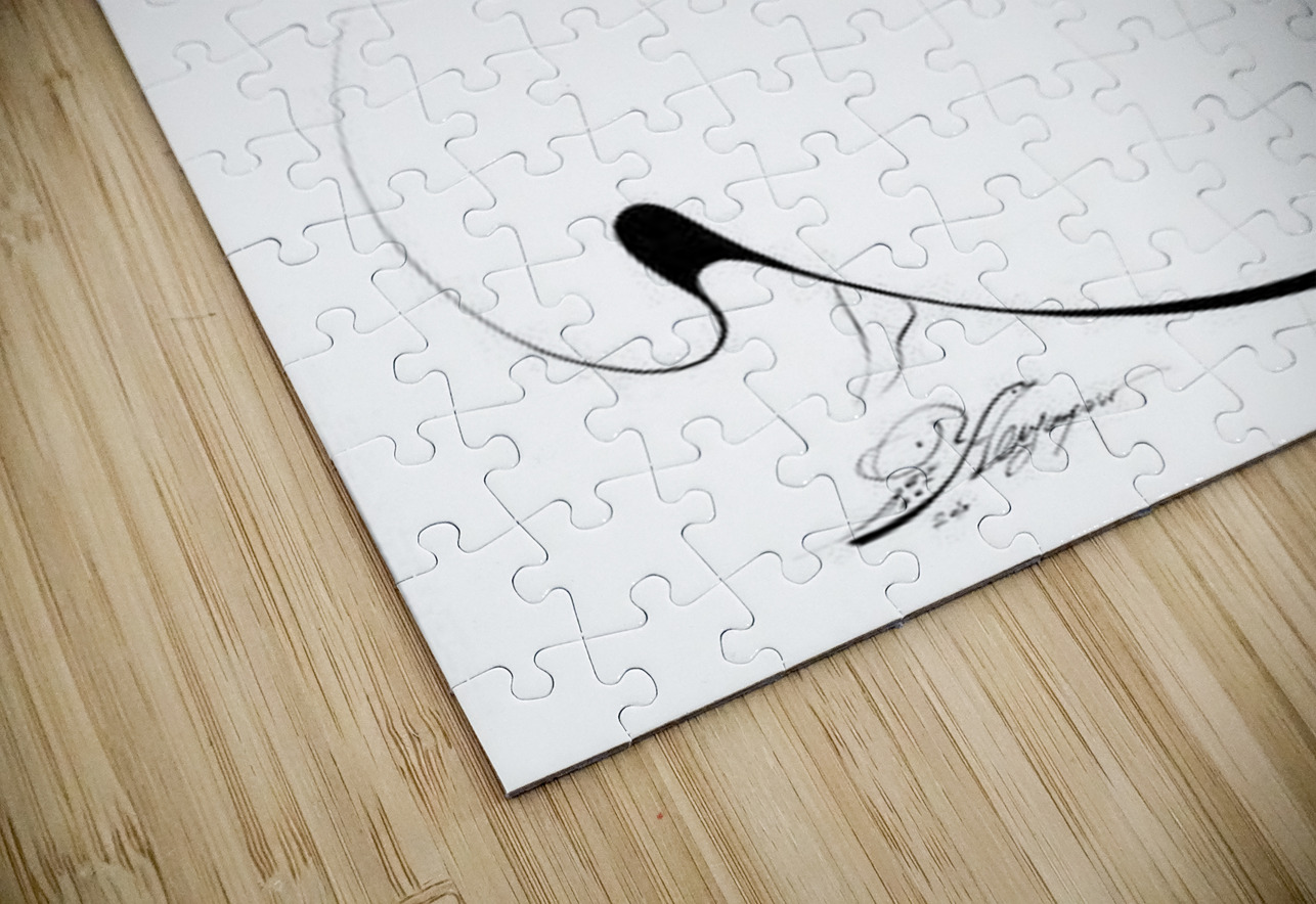 Soul in Motion NARIO Puzzle