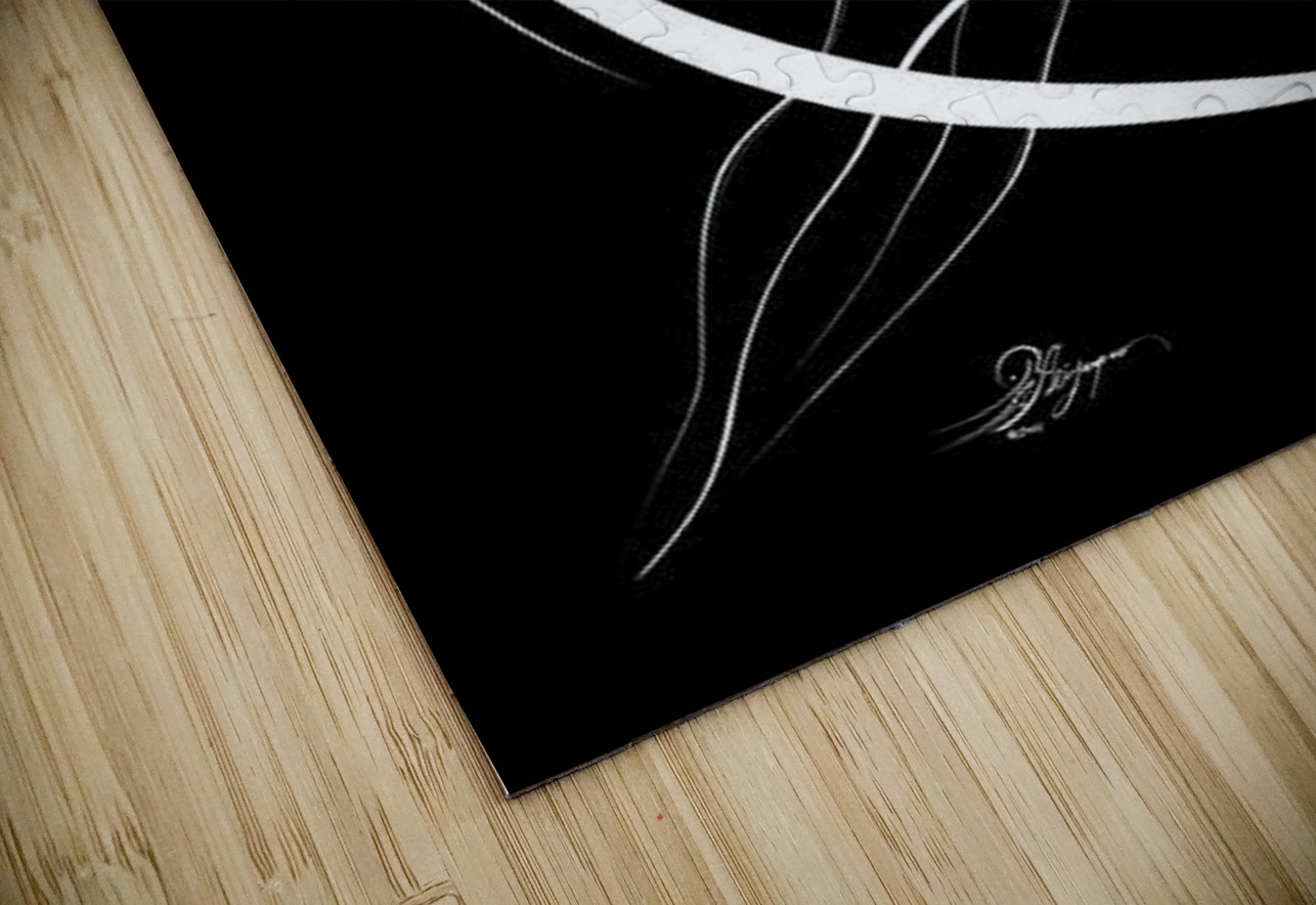 1 Flying 1 copy 020129 NARIO Puzzle