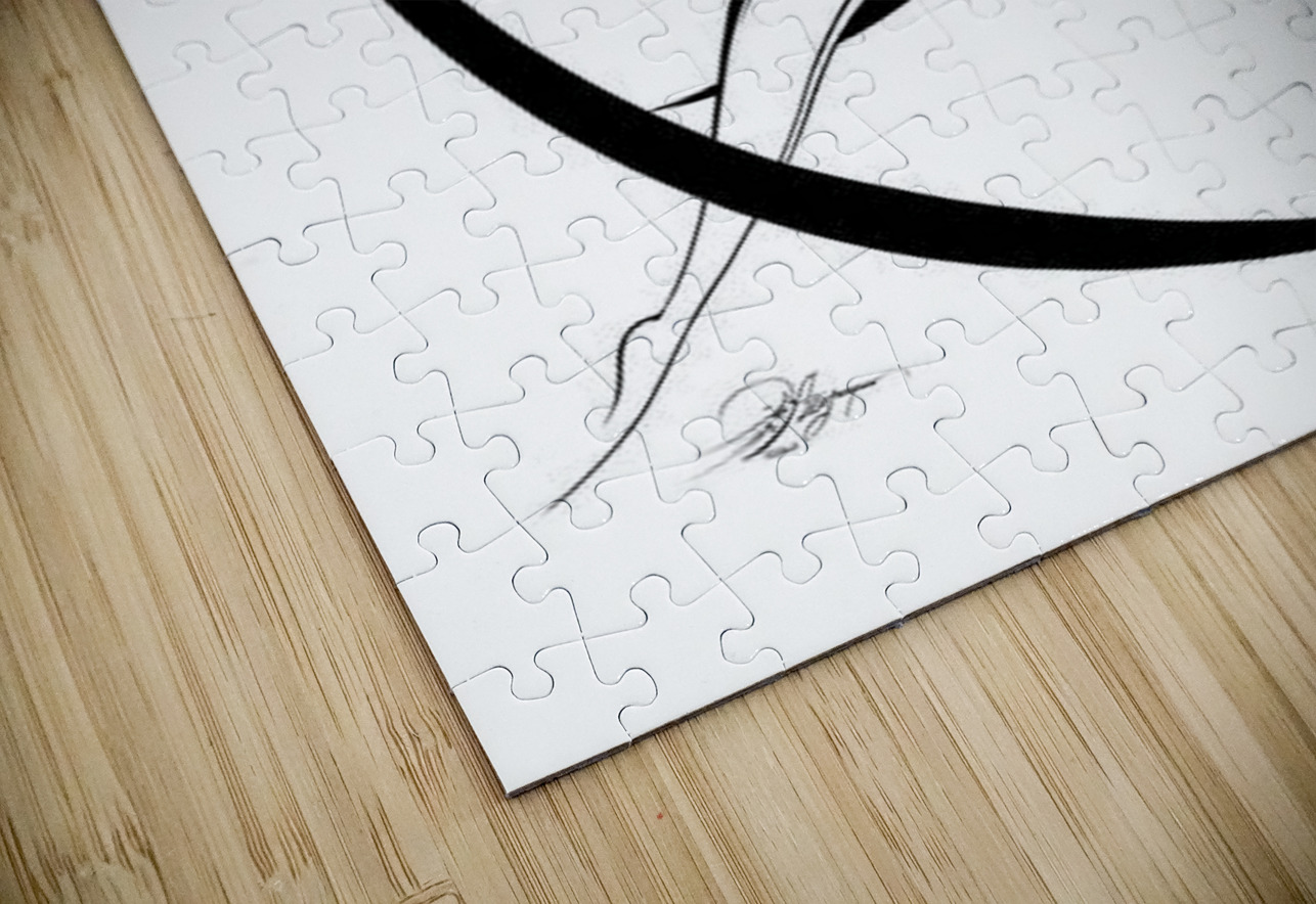 2 Flying copy 014741 NARIO Puzzle