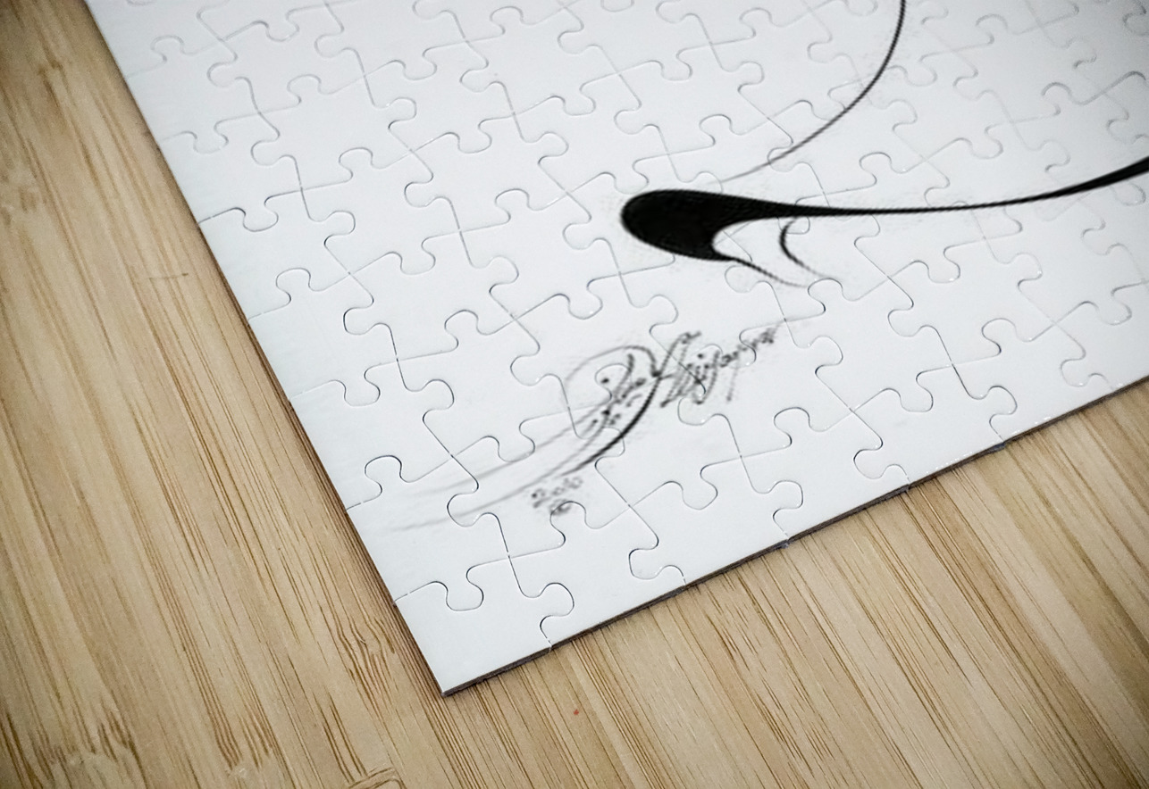 Embrace of Light NARIO Puzzle