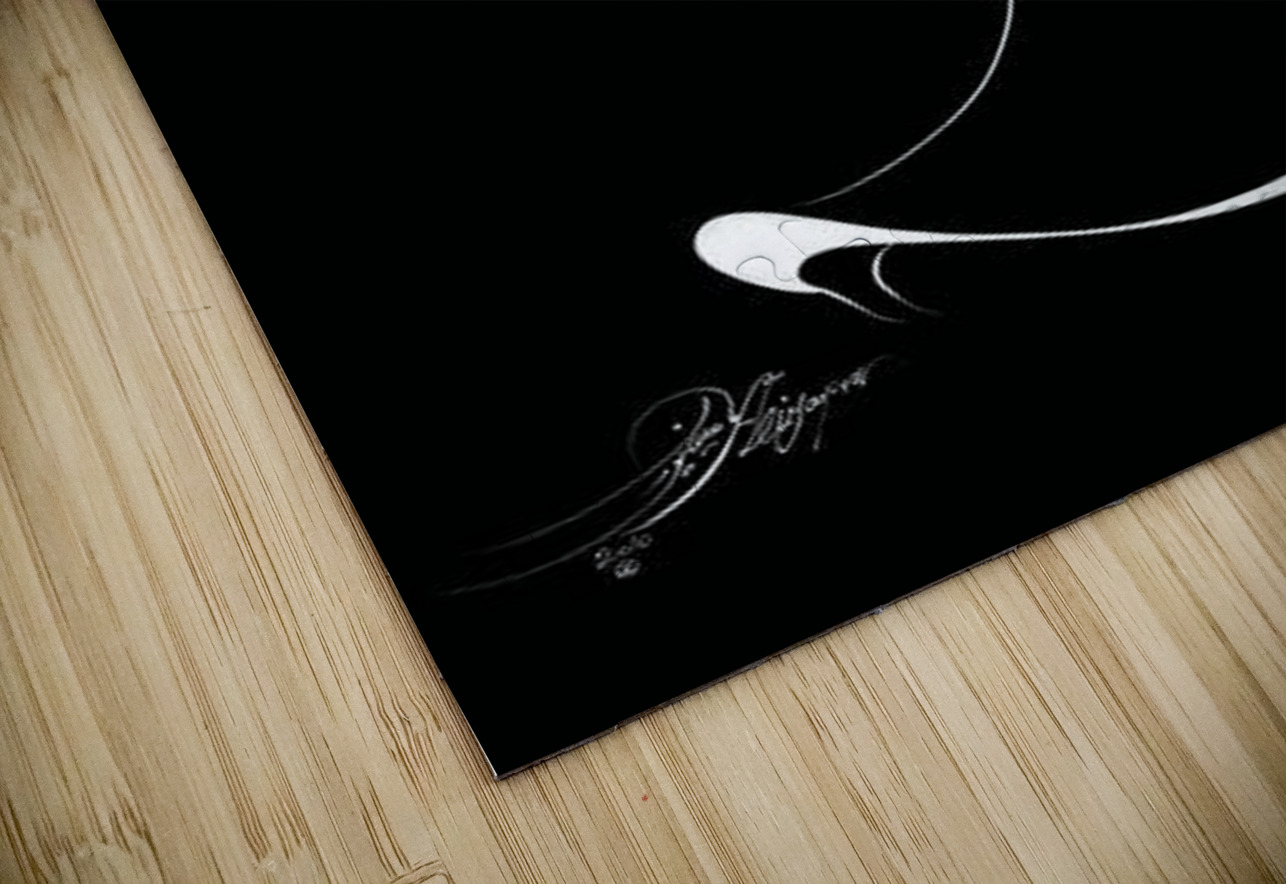 EMBRACE OF LIGHT B NARIO Puzzle