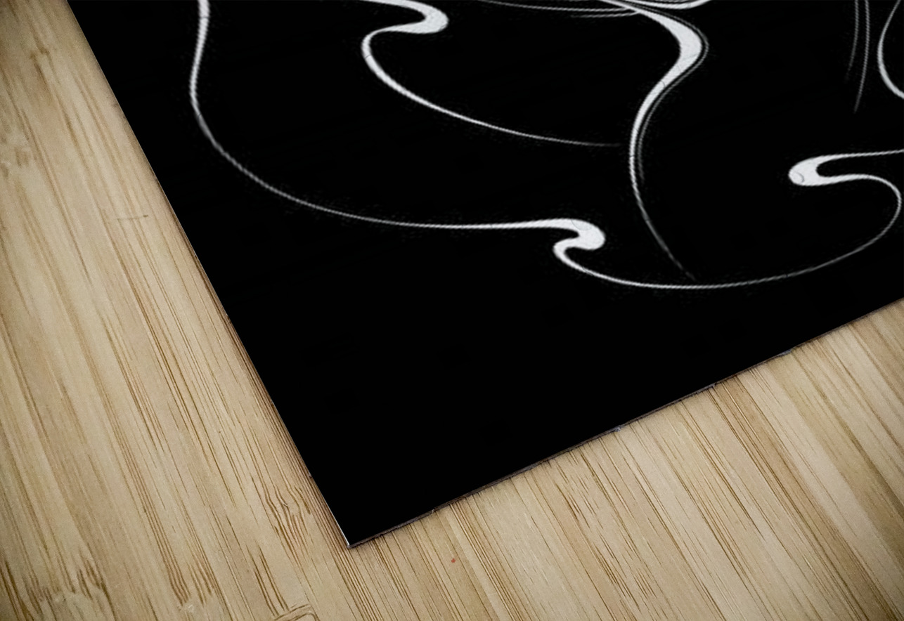 Silent Embrace NARIO Puzzle