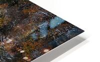 Frozen Autumn HD Metal print