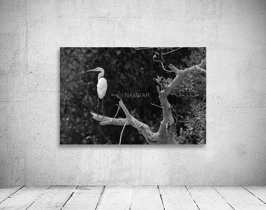 The White Guardian Wall Preview