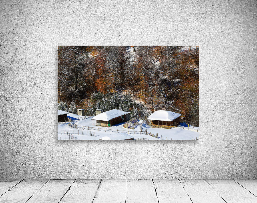 Autumn Meets Winter Wall Preview