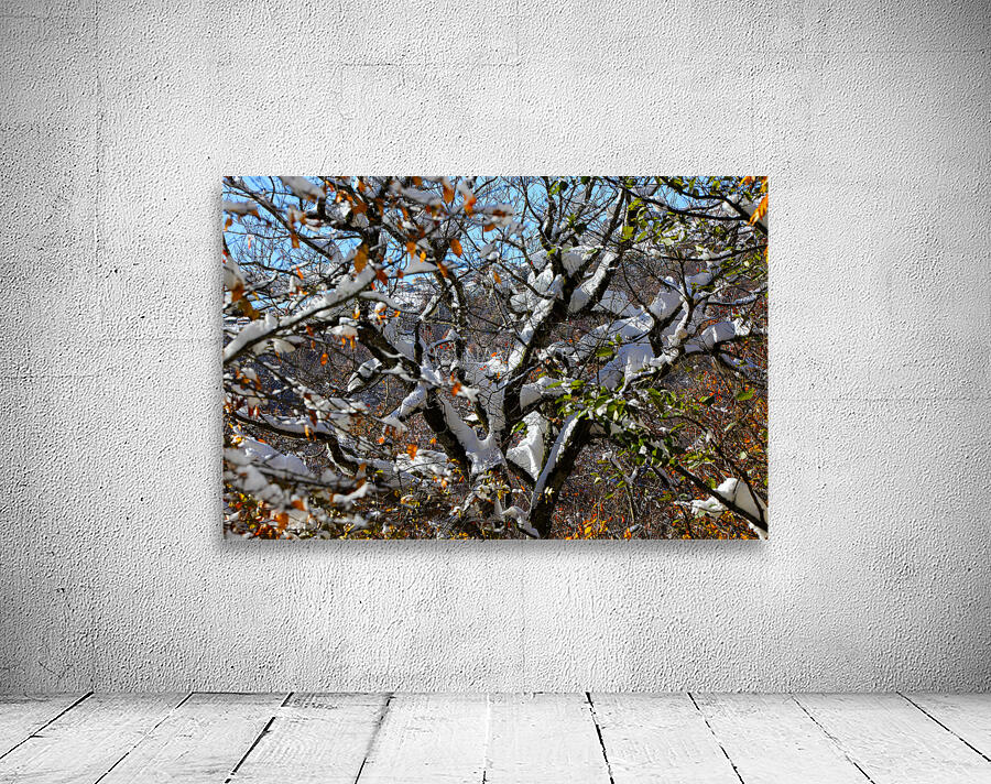 Autumn’s Last Breath Wall Preview