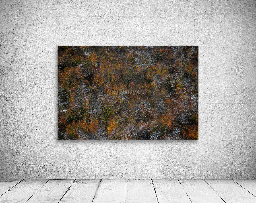 Frozen Autumn Wall Preview