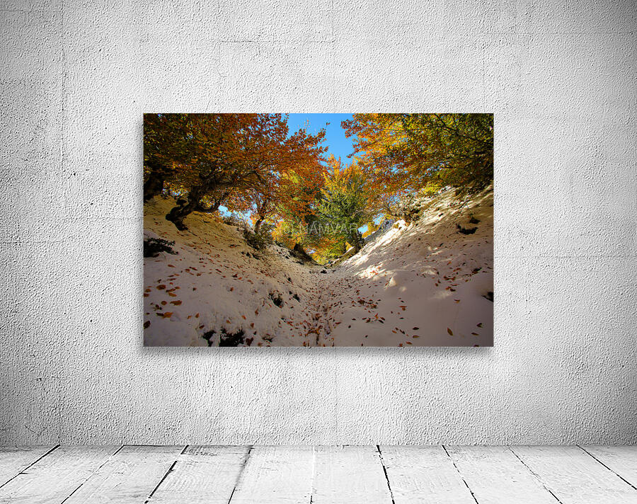 Nature’s Invitation Wall Preview