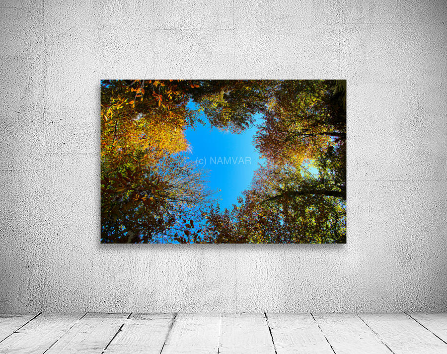 Window to the sky Wall Preview