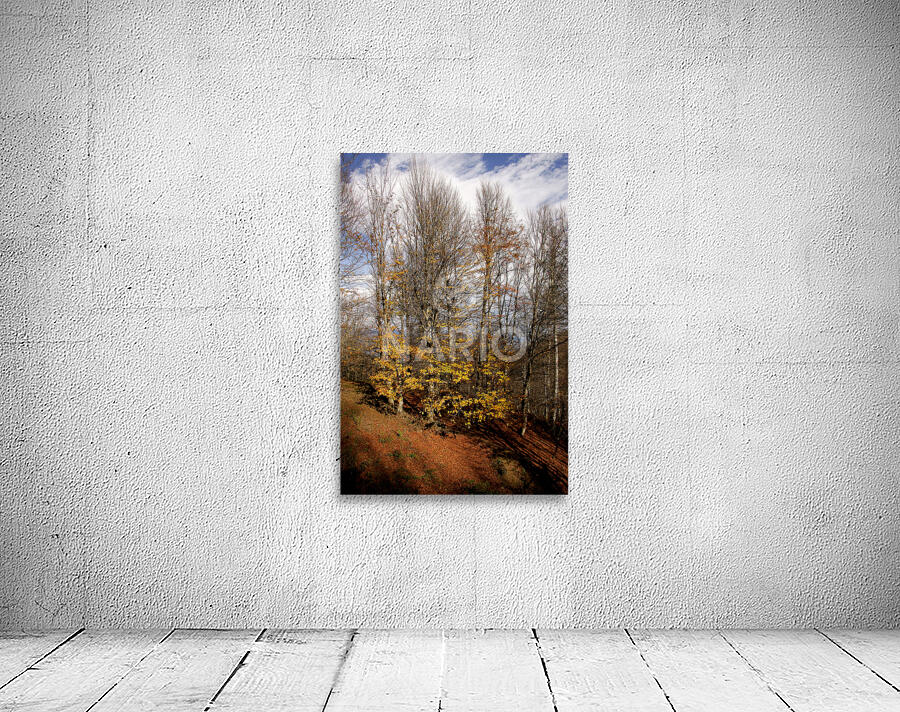 Autumn Silence  Wall Preview