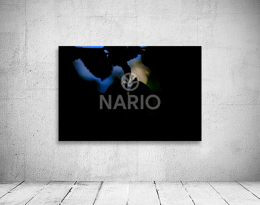 Whispers in the Dark Wall Preview