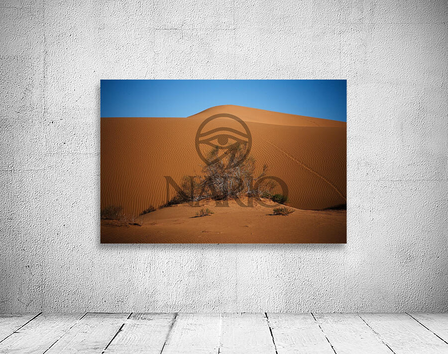 Whispers of the Dune Wall Preview