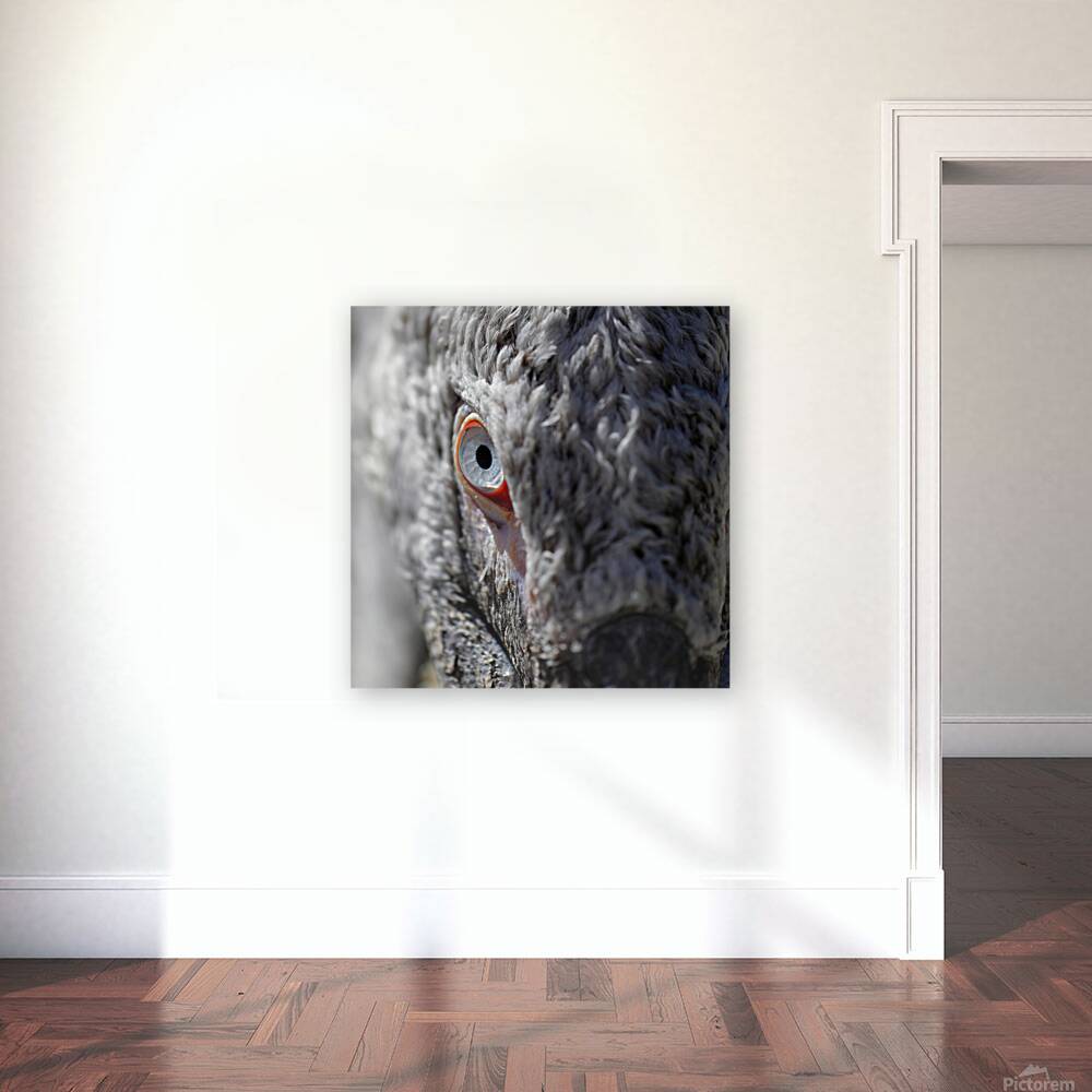 The Watchful Eye Reproduction