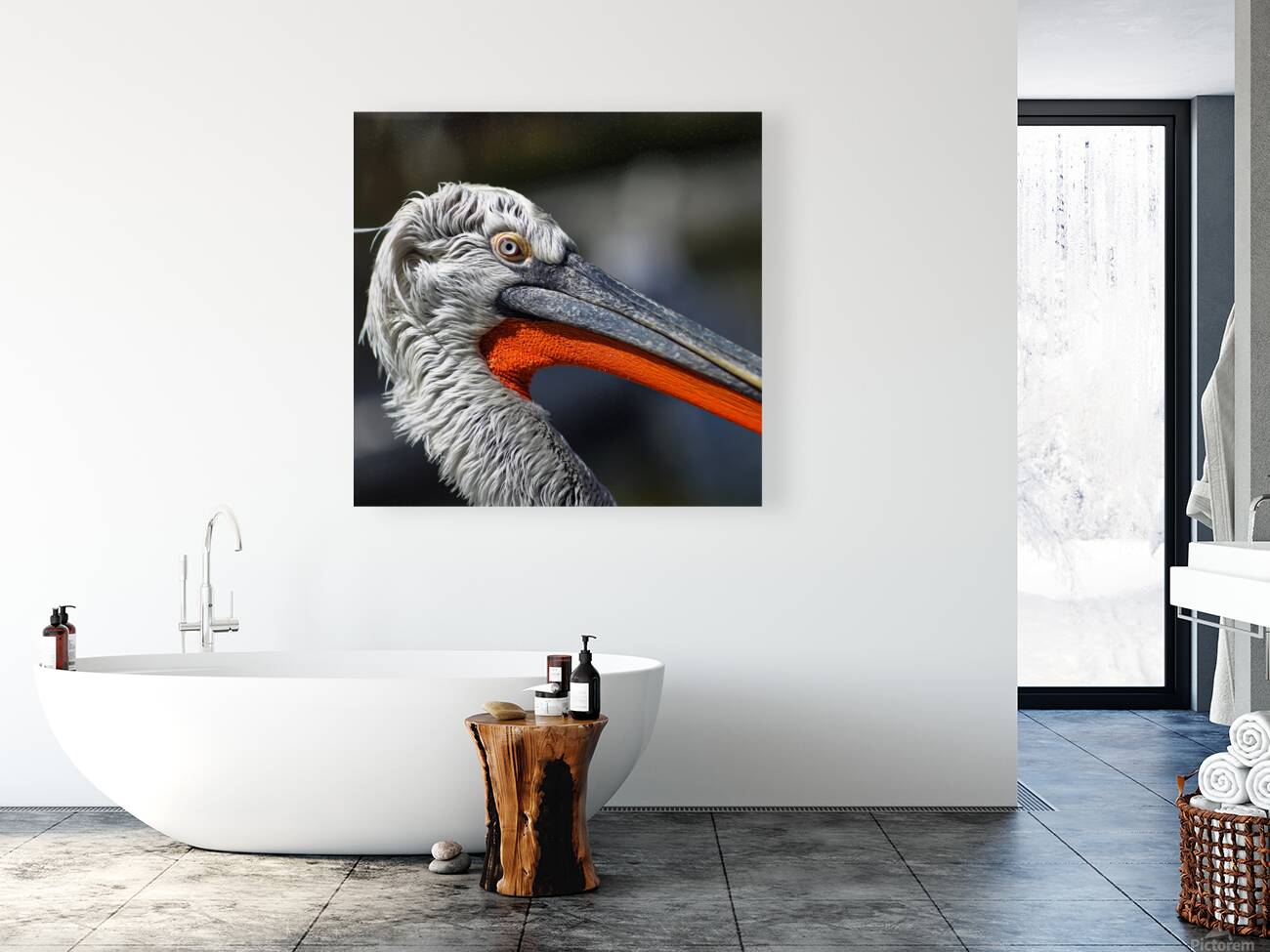 Portrait of a Pelican Reproduction