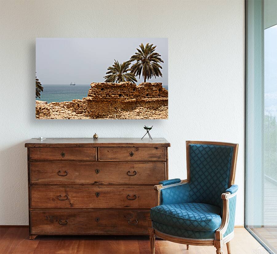 Echoes by the Sea Reproduction