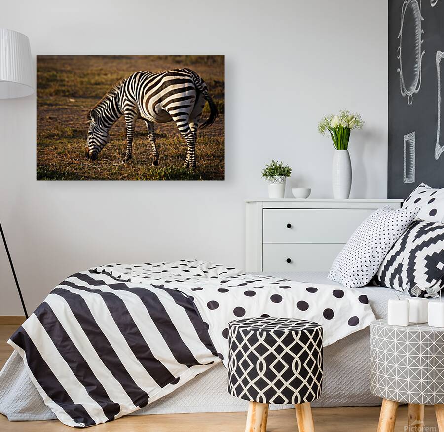 Harmony in Stripes Reproduction