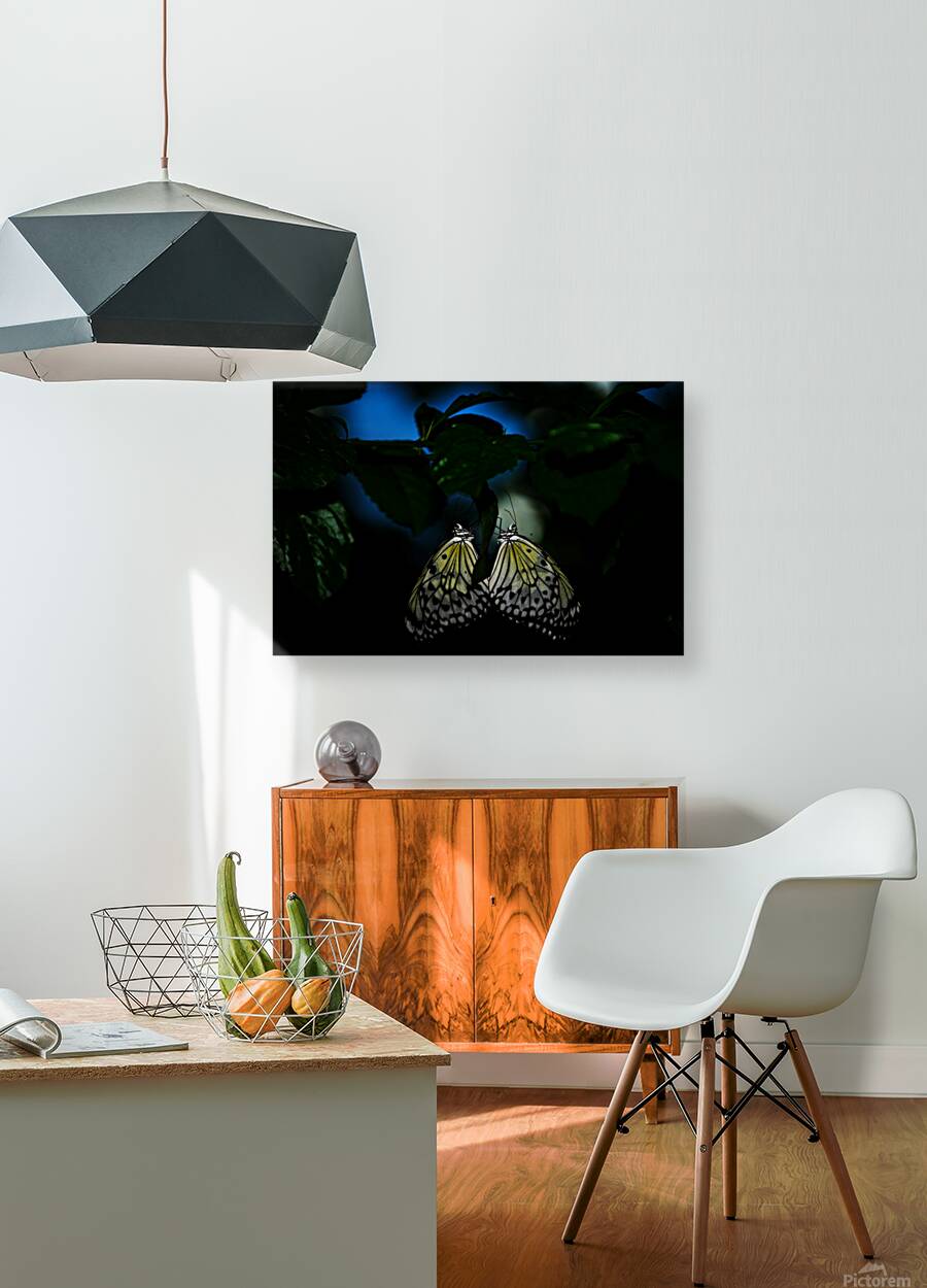 Whispers of Light  Reproduction